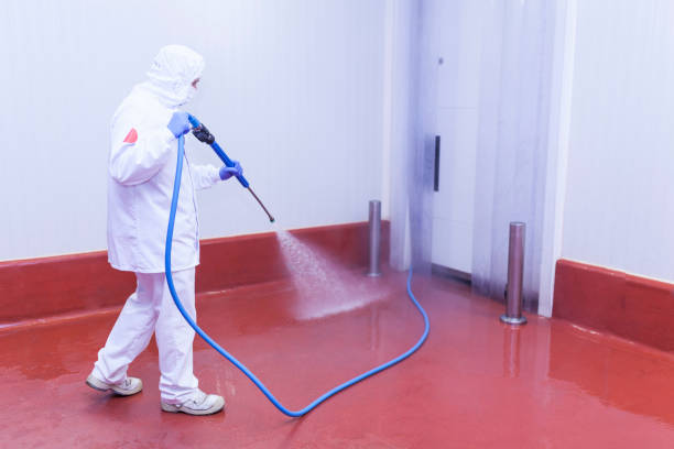 Best Dumpster Area Cleaning  in Topton, PA