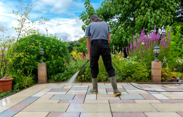 Best Animal Enclosure Cleaning  in Topton, PA